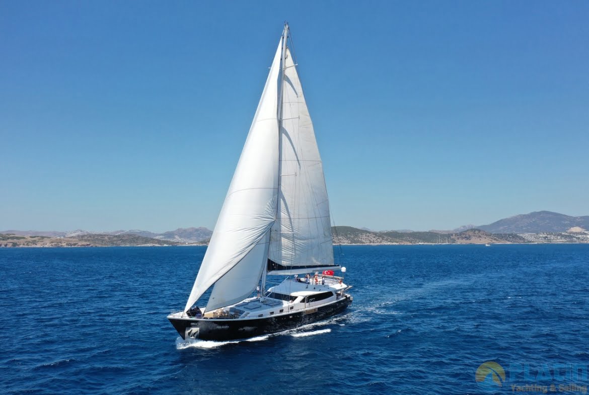 gulmaria - gul maria