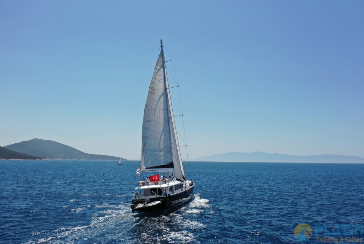 gulmaria - gul maria